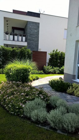 Terasz melletti növényeink